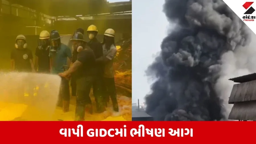 Valsad: Vapi GIDC ક્રોમા કંપનીમાં આગ, બે કામદારો ગંભીર રીતે દાઝ્યા